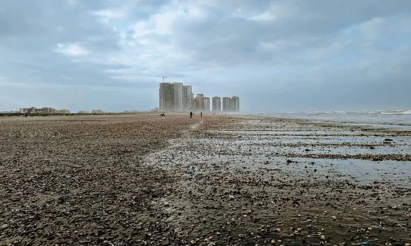 Every monsoon, thousands of seashells wash up on Karachi's shores. Here's why - iVerify Pakistan